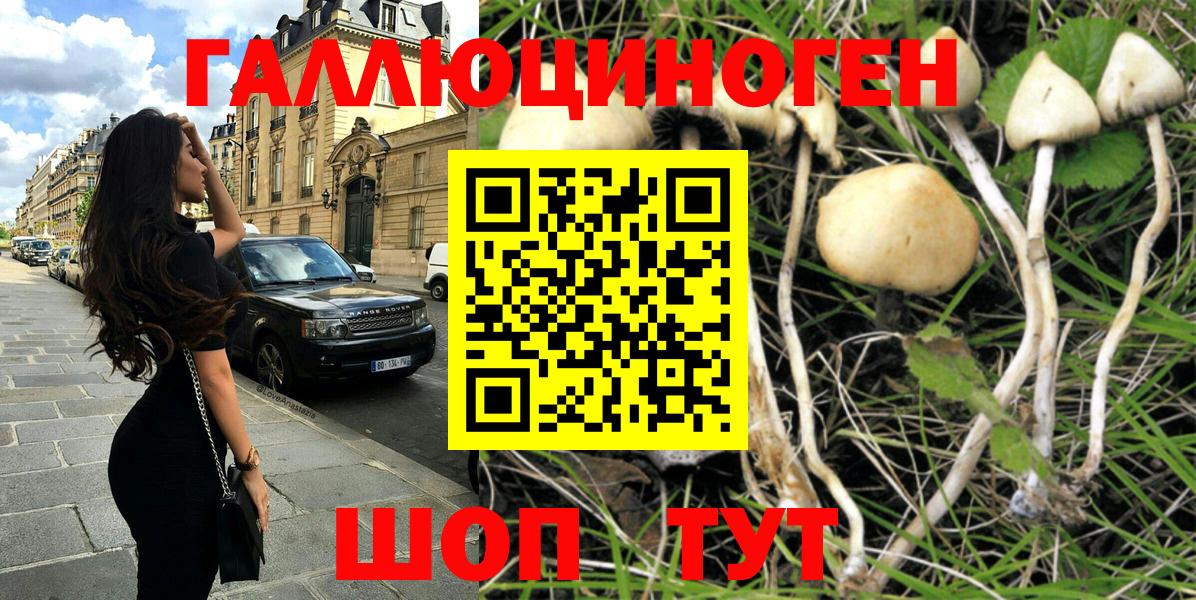 цена наркотик  Вход с VPN  Галлюциногенные грибы MAGIC MUSHROOMS  Сердобск  Галлюциногенные грибы мицелий 