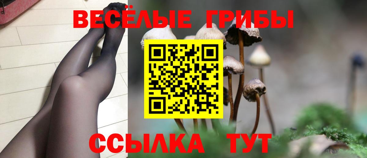 Псилоцибиновые грибы мицелий Сердобск